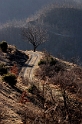 Paesaggi Montani